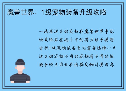 魔兽世界：1级宠物装备升级攻略