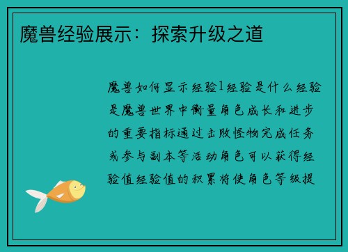 魔兽经验展示：探索升级之道